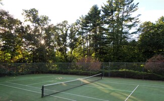 Cancha de tenis rodeada de árboles y una cerca de malla metálica.