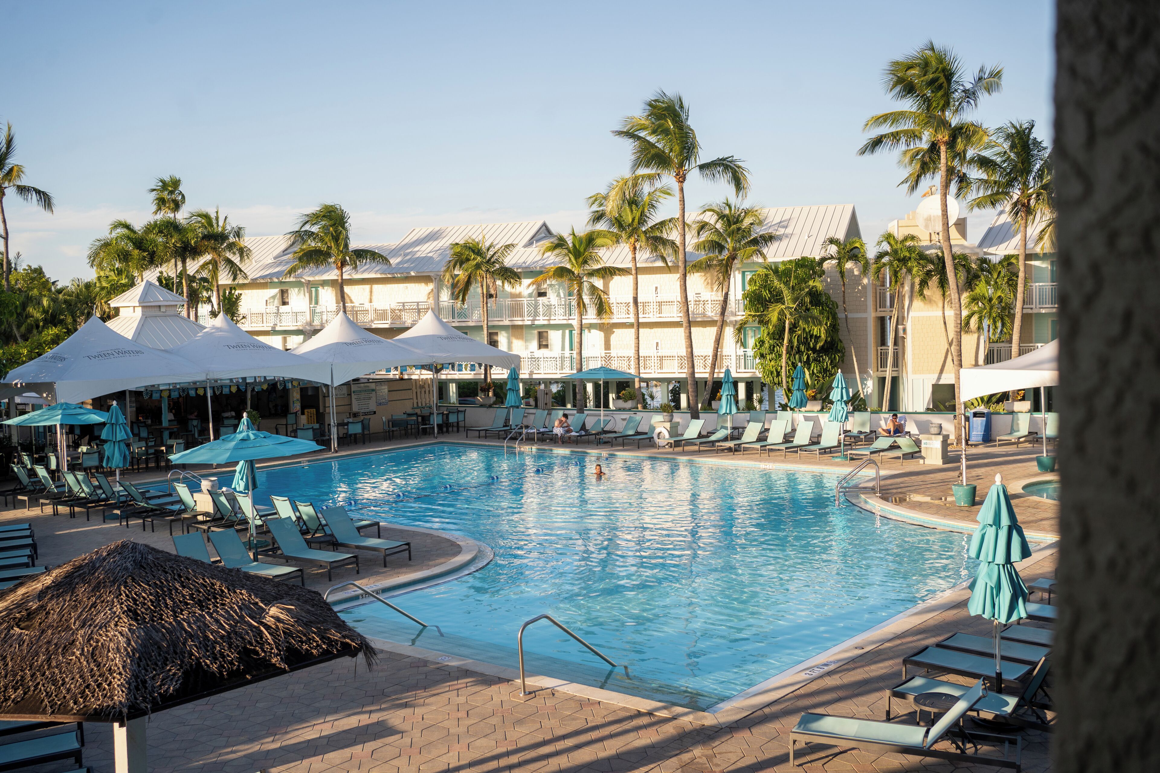A swimming pool with lounge chairs and umbrellas, surrounded by palm trees and hotel buildings.