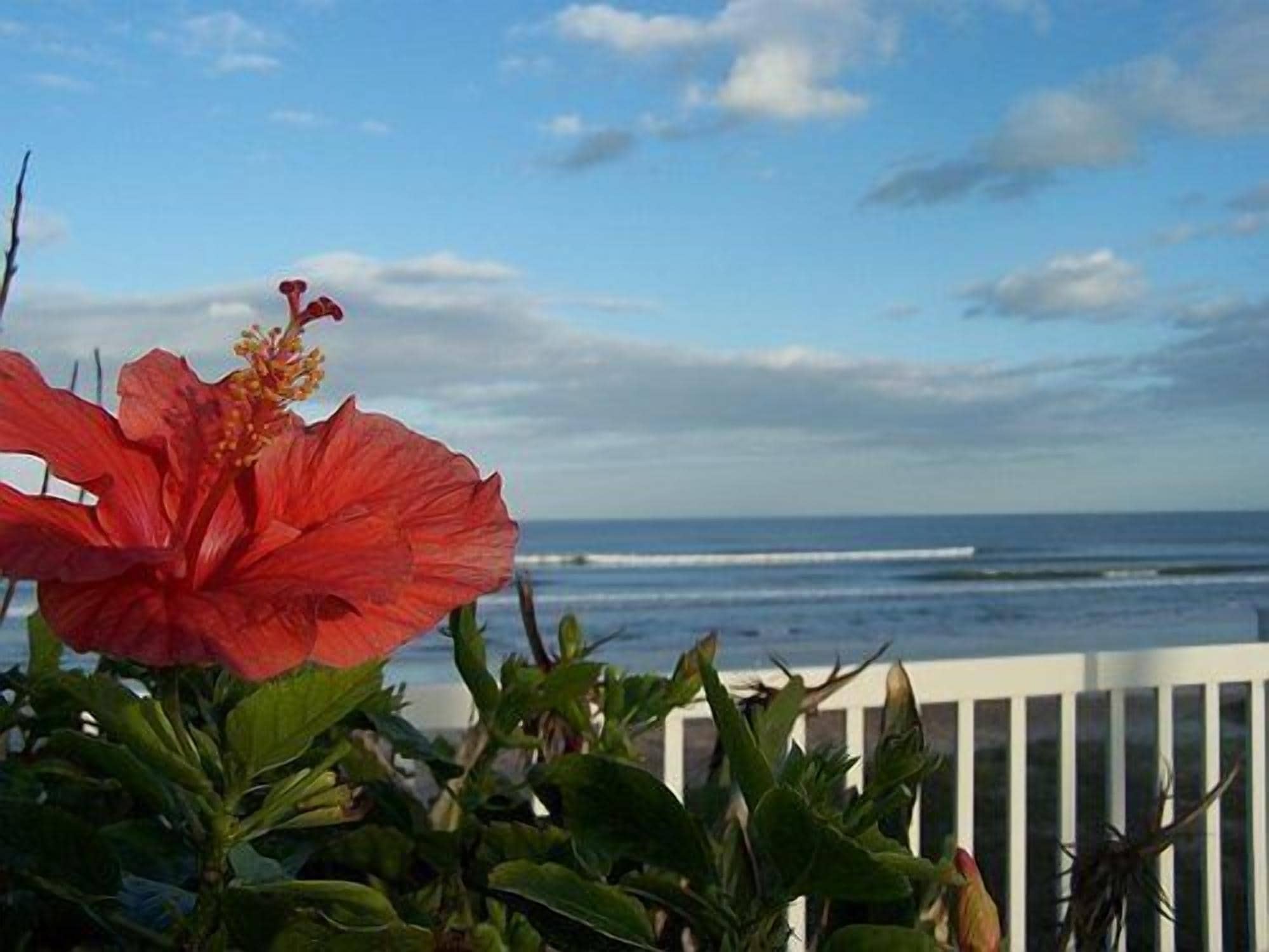 Photo - Coral Sands Inn