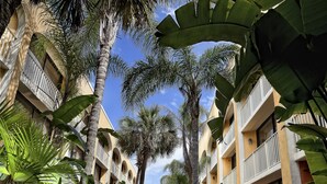 A hotel corridor with hexagonal brick flooring, surrounded by lush tropical plants and palm trees. - Westgate Towers Resort (Kissimmee)