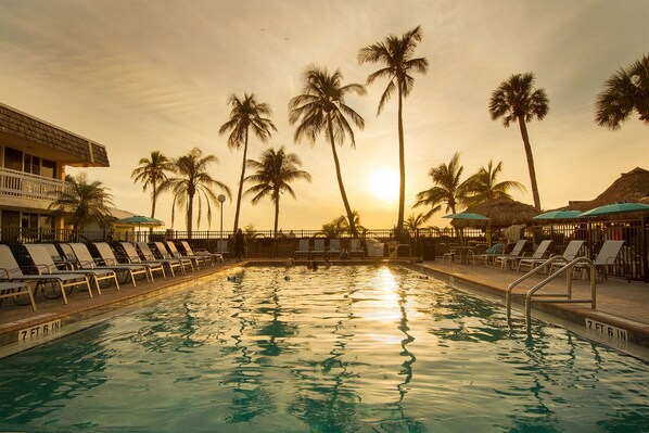 Outdoor pool, pool umbrellas, sun loungers