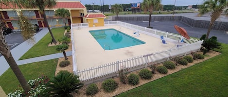 A swimming pool with a white fence, surrounded by palm trees and a grassy area.