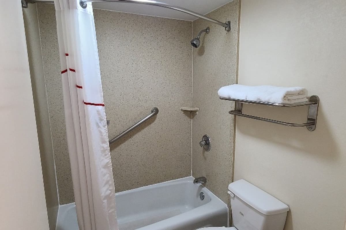 combined shower/bathtub, free toiletries, hair dryer, towels