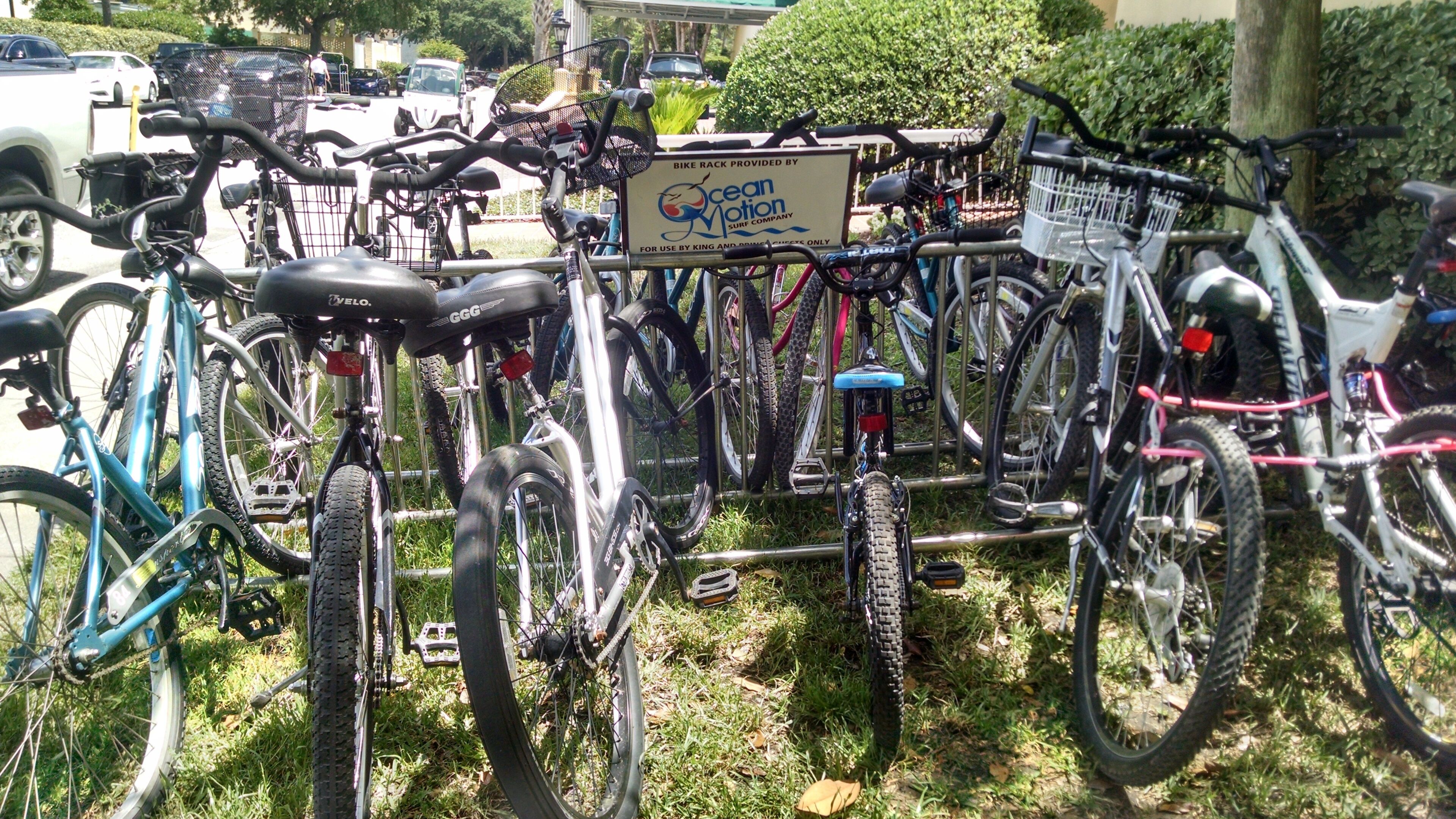 Un support à vélos avec des bicyclettes garées dans une zone herbeuse.