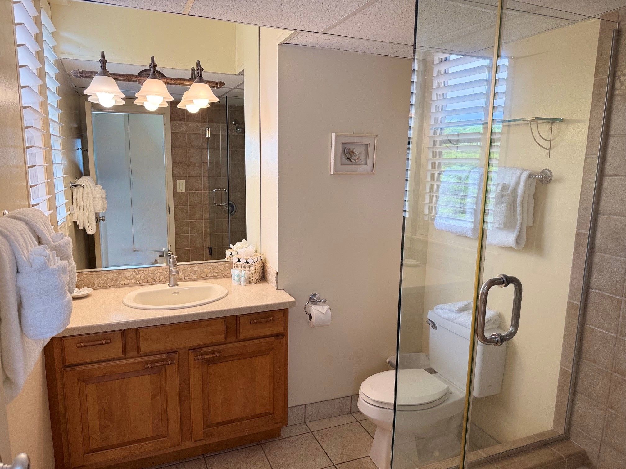 A bathroom with a glass shower enclosure, a sink with a mirror, and a toilet.