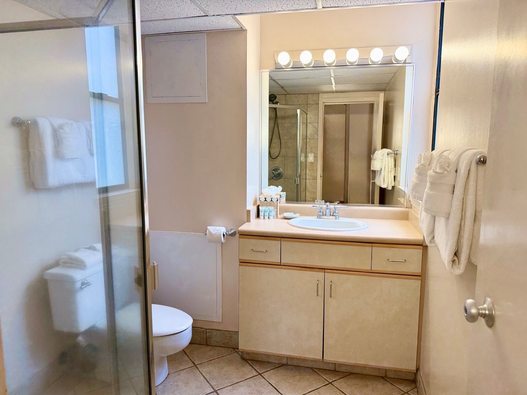 Een badkamer met een douchecabine van glas, een toilet, een wastafel met spiegel erboven en een handdoekrek.