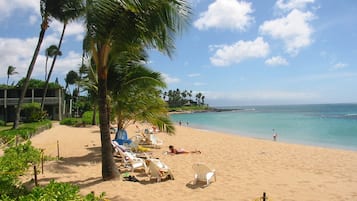 A beach with palm trees, lounge chairs, and a clear view of the ocean.