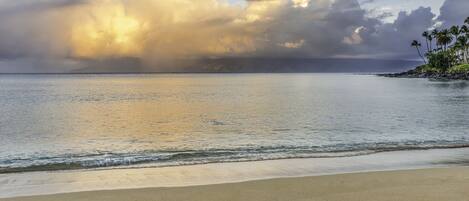 A beach with calm waters, a sandy shore, and a cloudy sky.