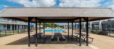 Outdoor pool, pool umbrellas, sun loungers