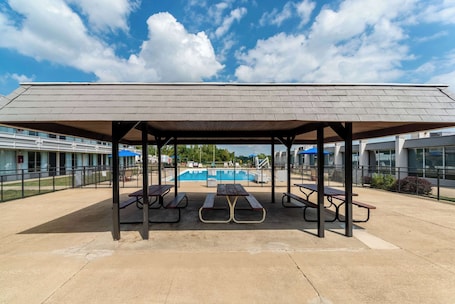 Seasonal outdoor pool, pool umbrellas, sun loungers