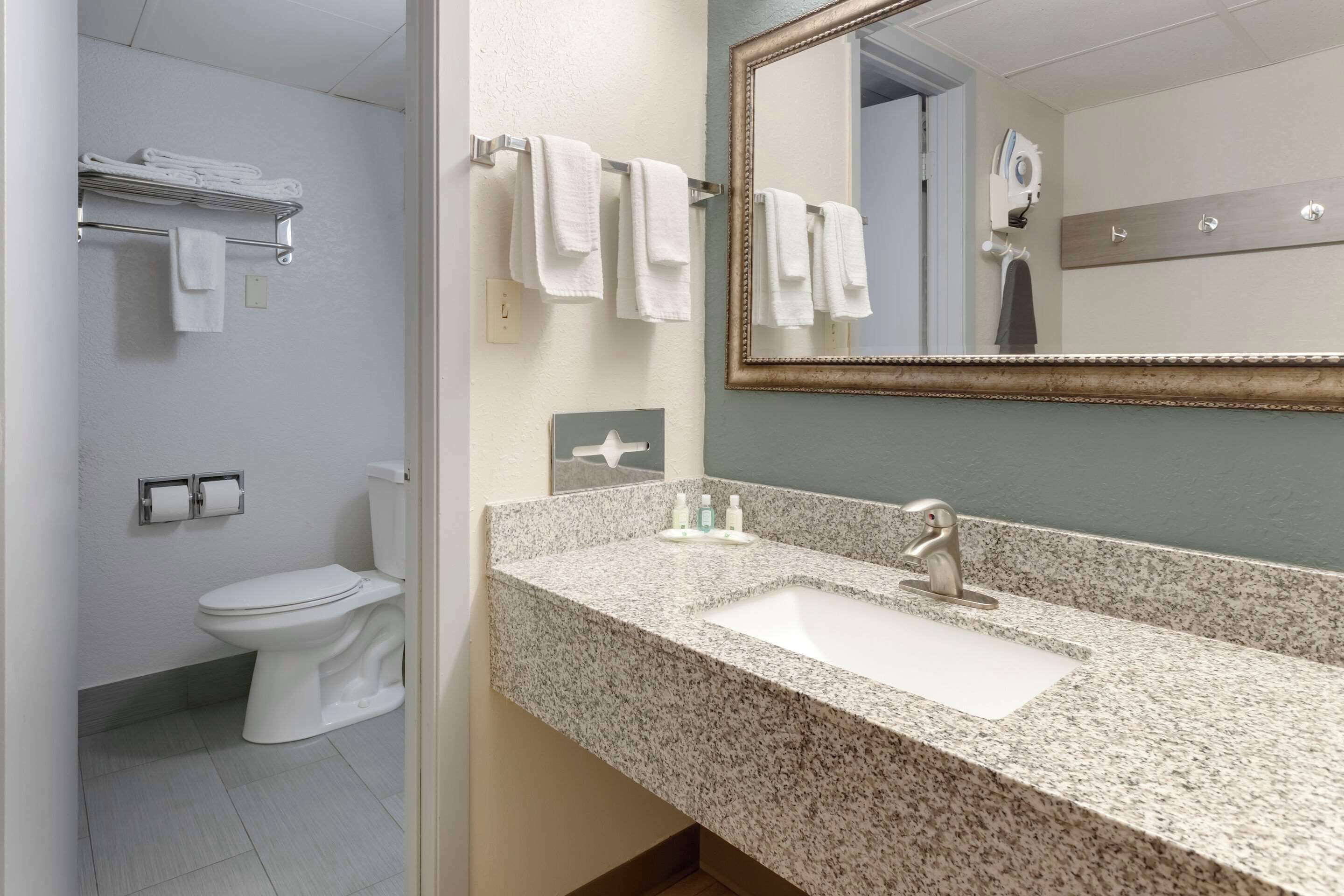 A bathroom with a white toilet, a sink with a granite countertop, and a mirror with a wooden frame.