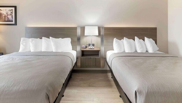 Een hotelkamer met twee bedden, een nachtkastje met een lamp en een ingelijst beeld aan de muur.