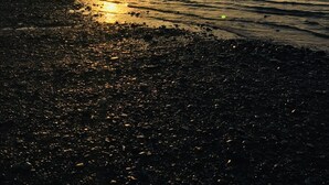 Una playa con piedras y agua que refleja el atardecer.