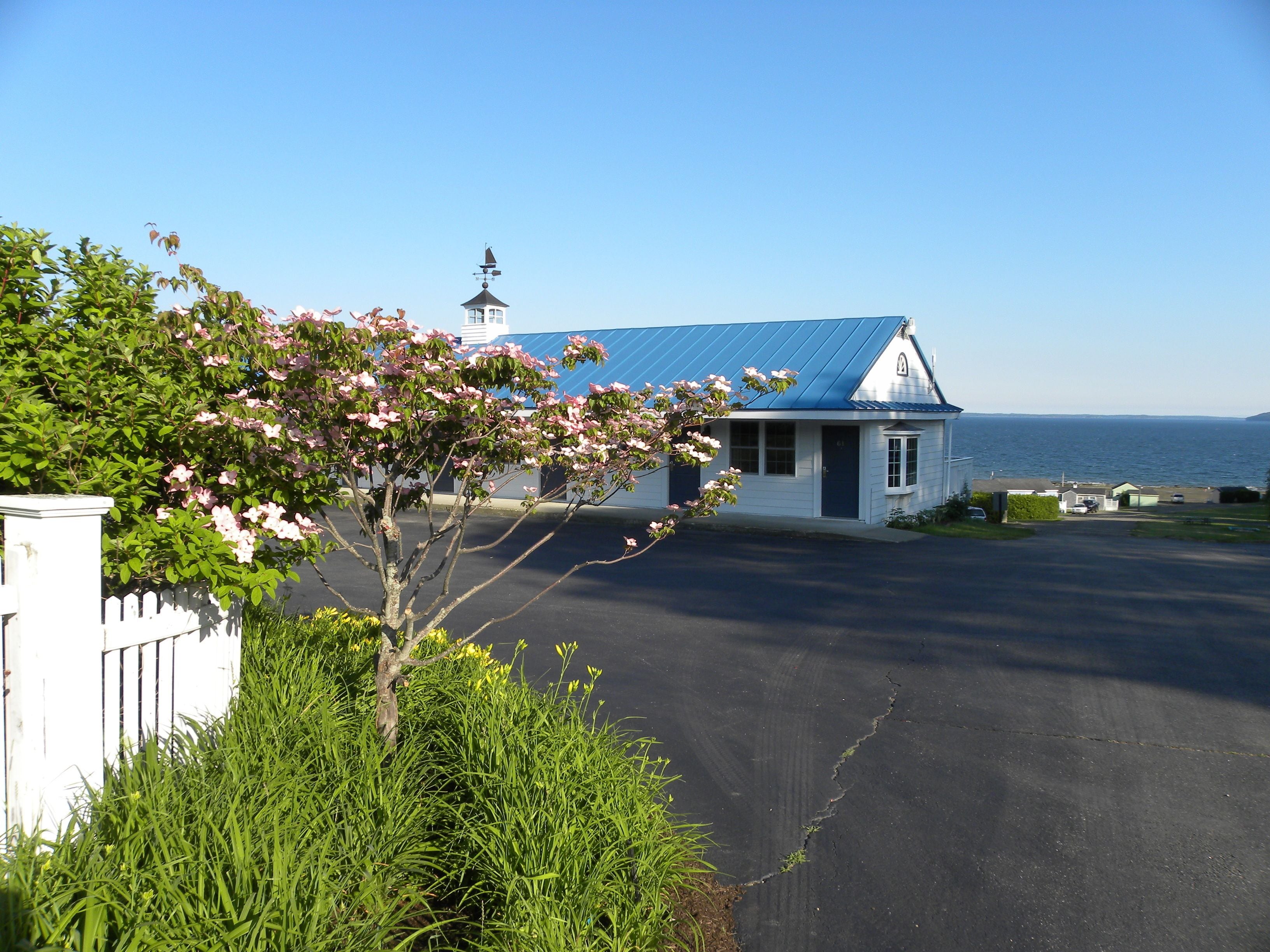 A small, single-story building with a blue roof, a white fence, and a tree with pink flowers in the foreground.