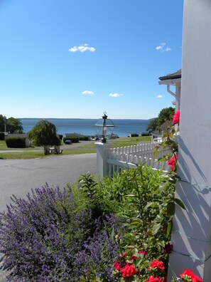 Enjoy a serene view of the lake from this property's beautifully maintained lawn.