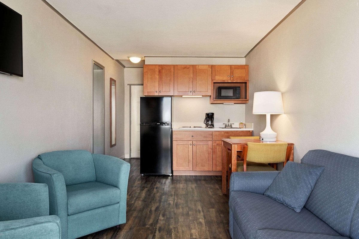 A compact living space with a kitchenette, two sofas, and a TV.