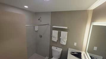 A bathroom with a shower, toilet, and a vanity with a mirror.