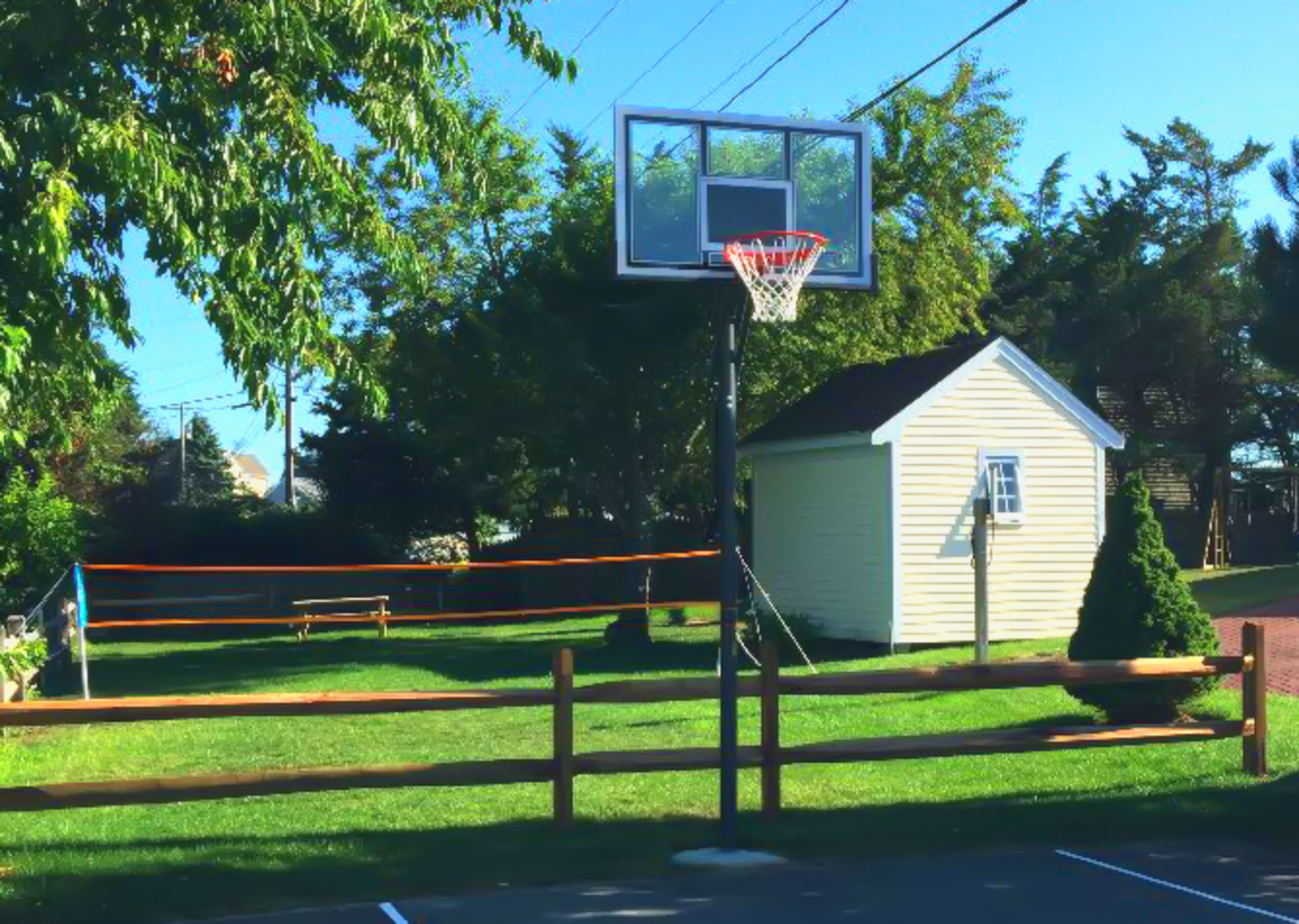 A basketball hoop with a net, a small shed, and a wooden fence in a grassy area.