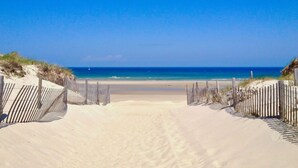 A beach pathway leading to the ocean with wooden fences on either side.