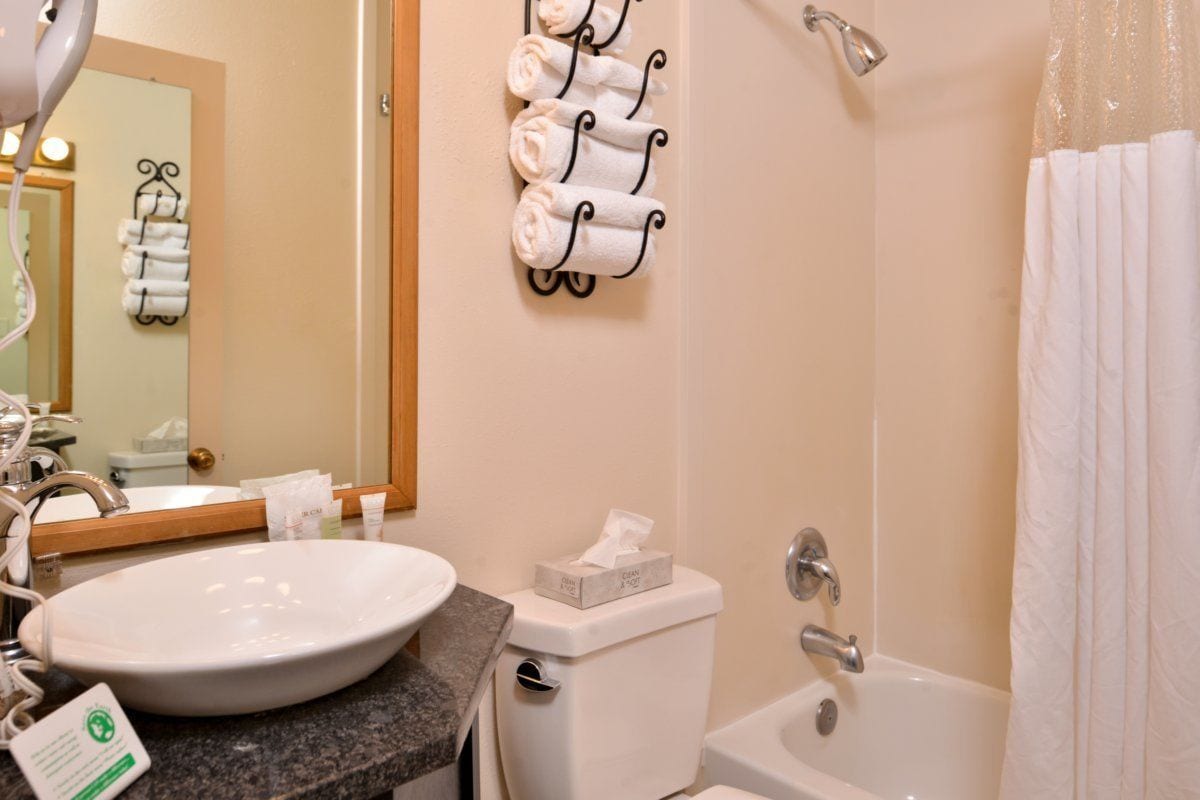 combined shower/bathtub, free toiletries, hair dryer, slippers