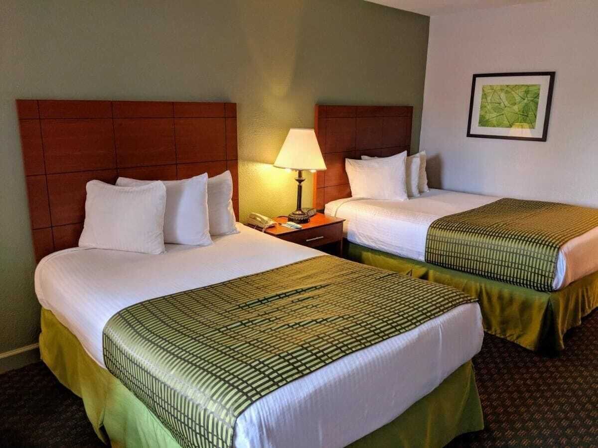 Iron/ironing board, free cots/infant beds, free WiFi, bed sheets