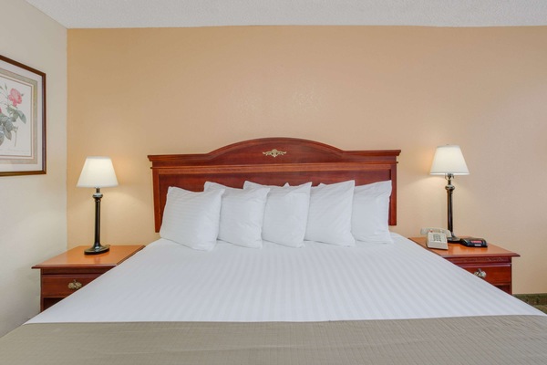 Standard Room, 1 King Bed | Iron/ironing board, cribs (free), WiFi (free), bed sheets