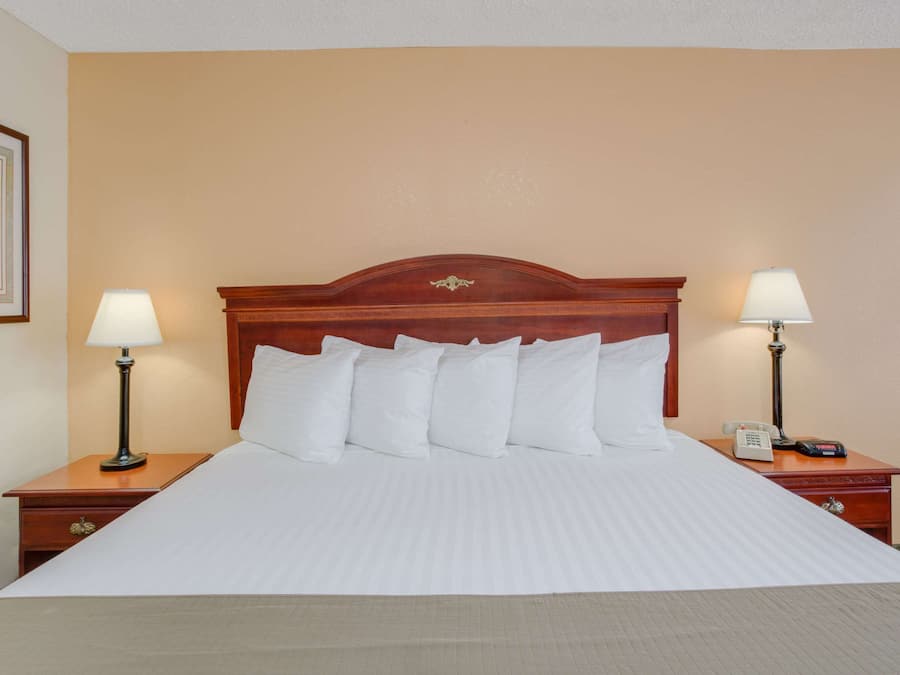 Standard Room, 1 King Bed | Iron/ironing board, free cots/infant beds, free WiFi, bed sheets