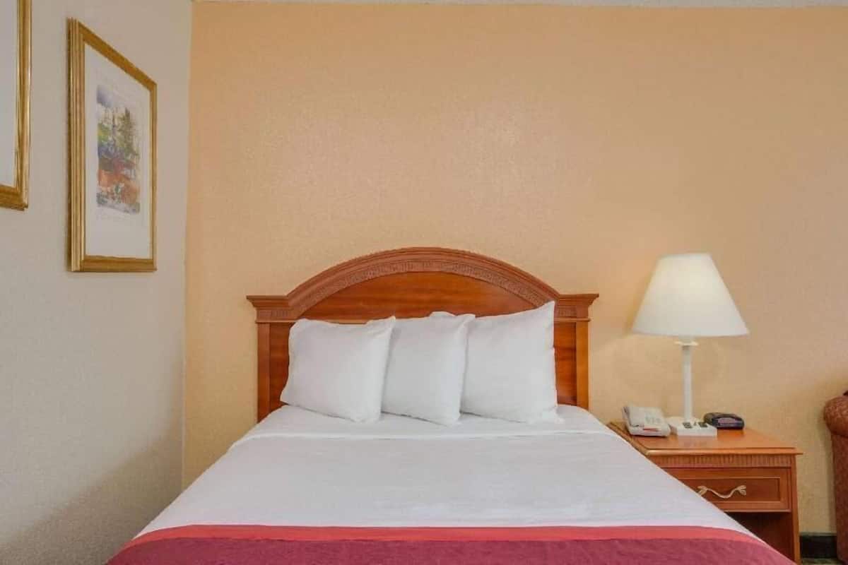 Iron/ironing board, free cots/infant beds, free WiFi, bed sheets