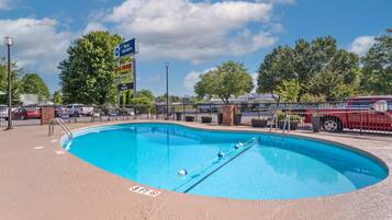 Outdoor pool, pool loungers