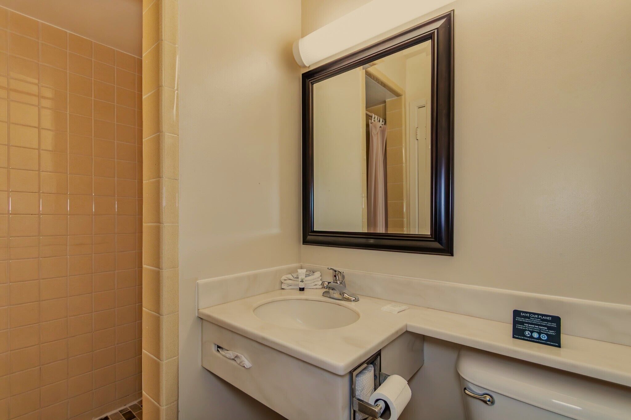 A bathroom with a sink, mirror, and toilet.