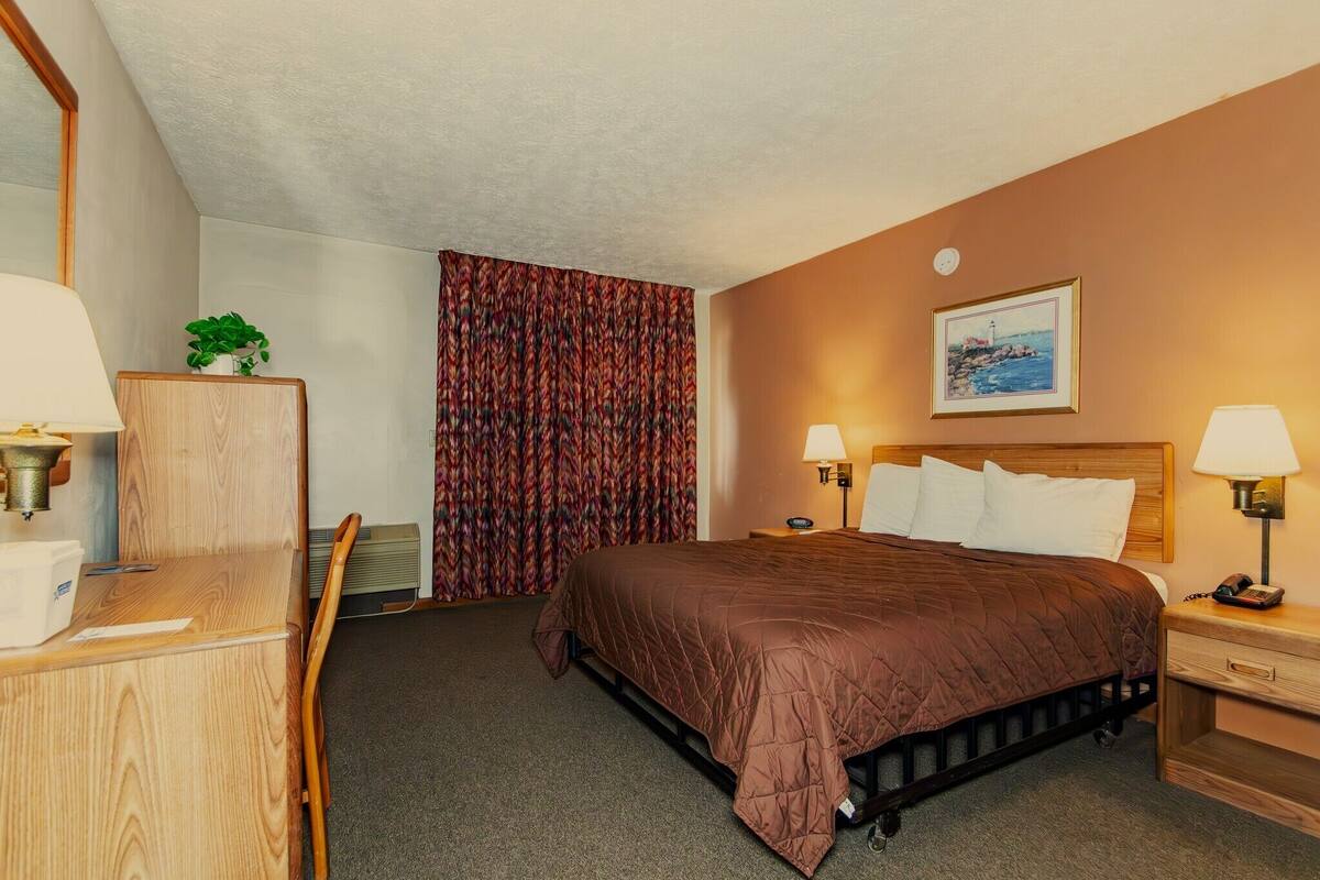 A hotel room with a bed, two bedside tables with lamps, a desk with a chair, a plant, a curtain, and a framed picture on the wall.