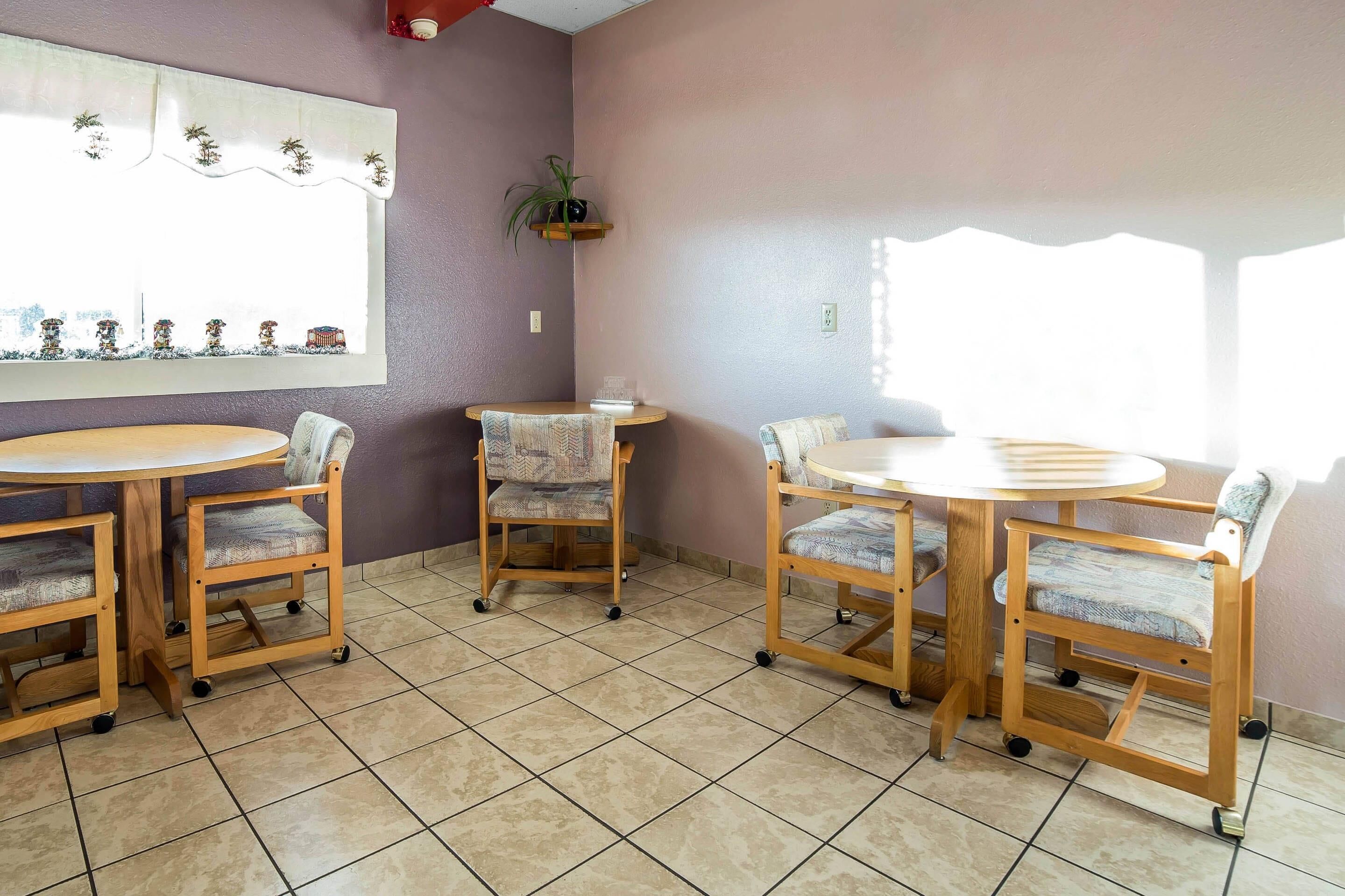 A dining area with four wooden tables and chairs, a window with a view of buildings, and a shelf with a plant.