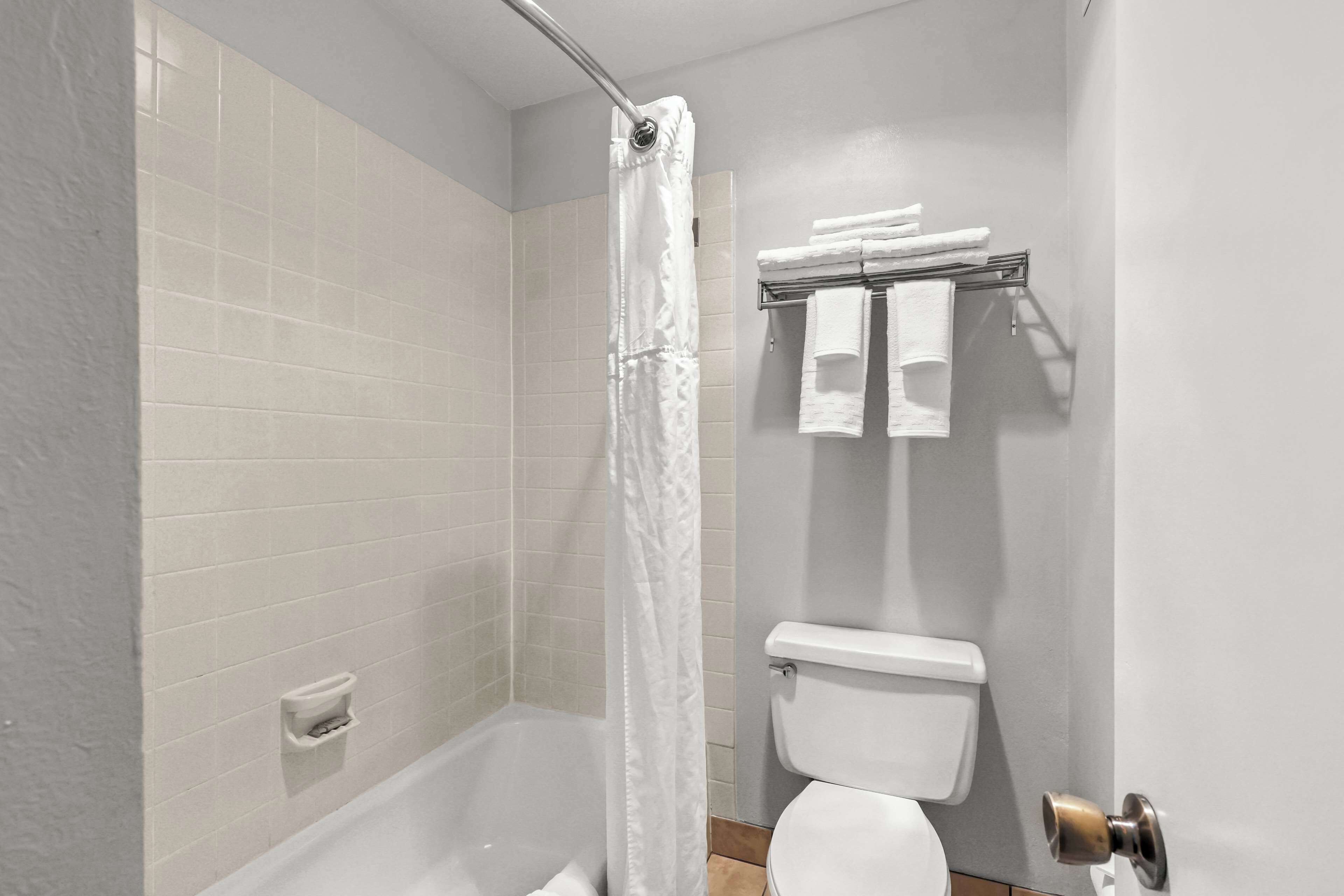 suite, 1 king bed, non smoking (with sofabed) | bathroom | combined shower/bathtub, free toiletries, hair dryer, towels