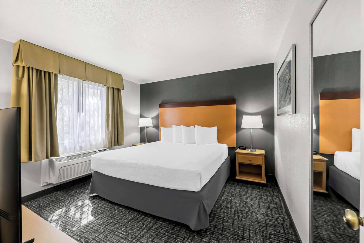 A hotel room with a large bed, two bedside tables with lamps, a flat-screen TV, a window with curtains, and a radiator.