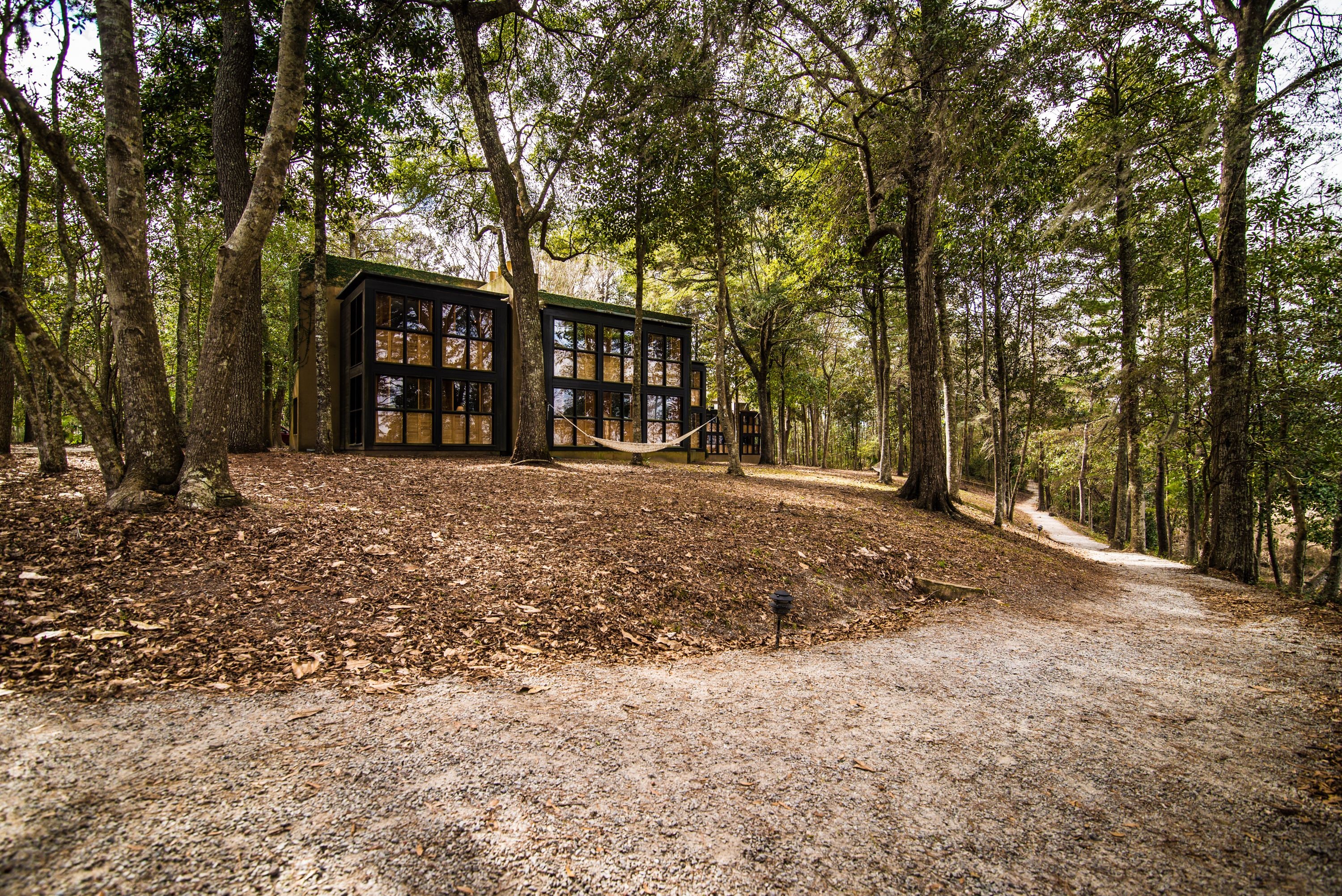 A cabin in a forest with a dirt path leading to it.