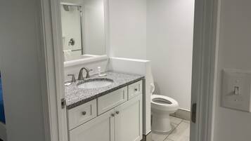 Un baño moderno con lavamanos de encimera de granito, un espejo grande y un inodoro.