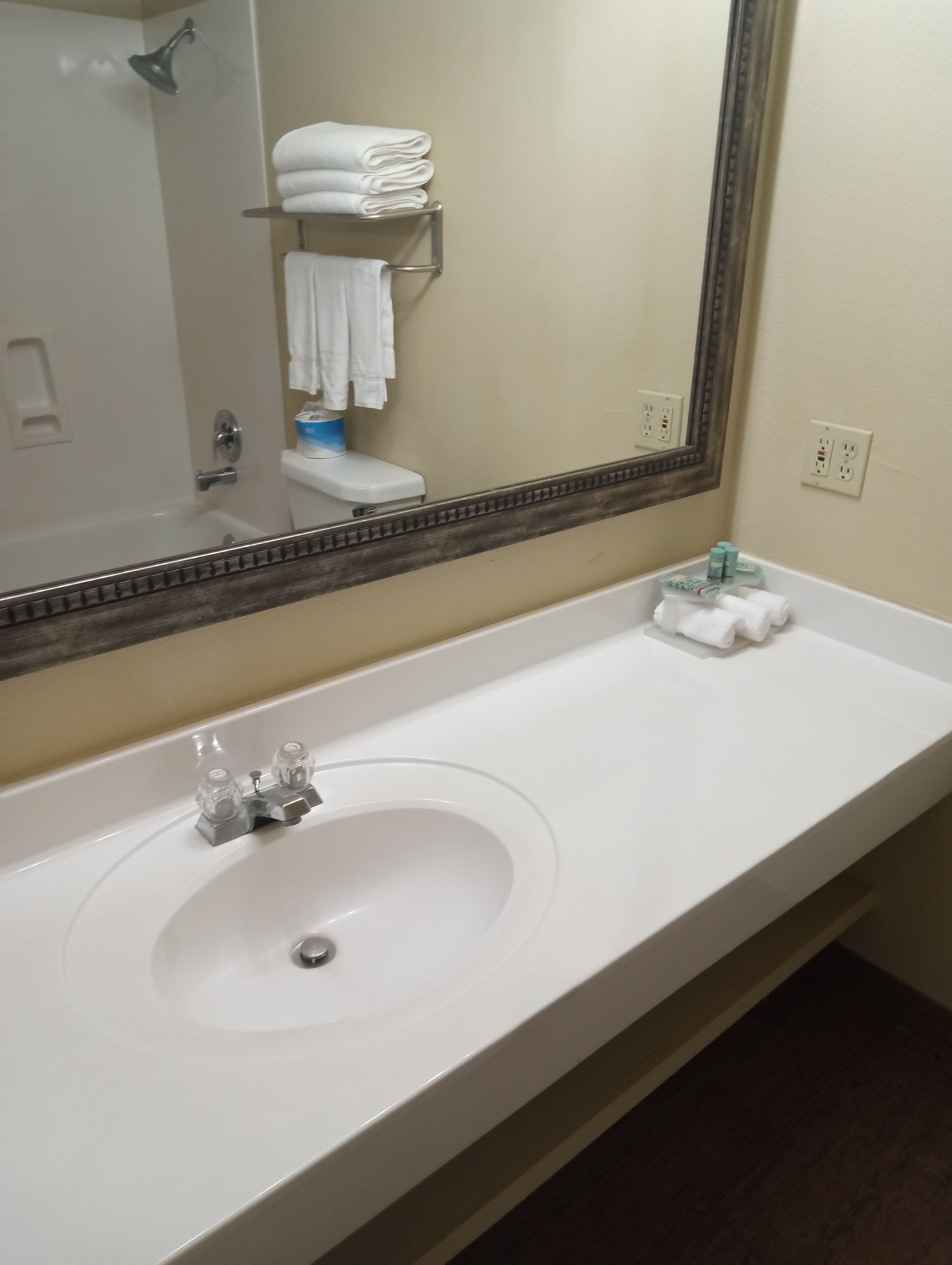 eco-friendly toiletries, hair dryer, towels