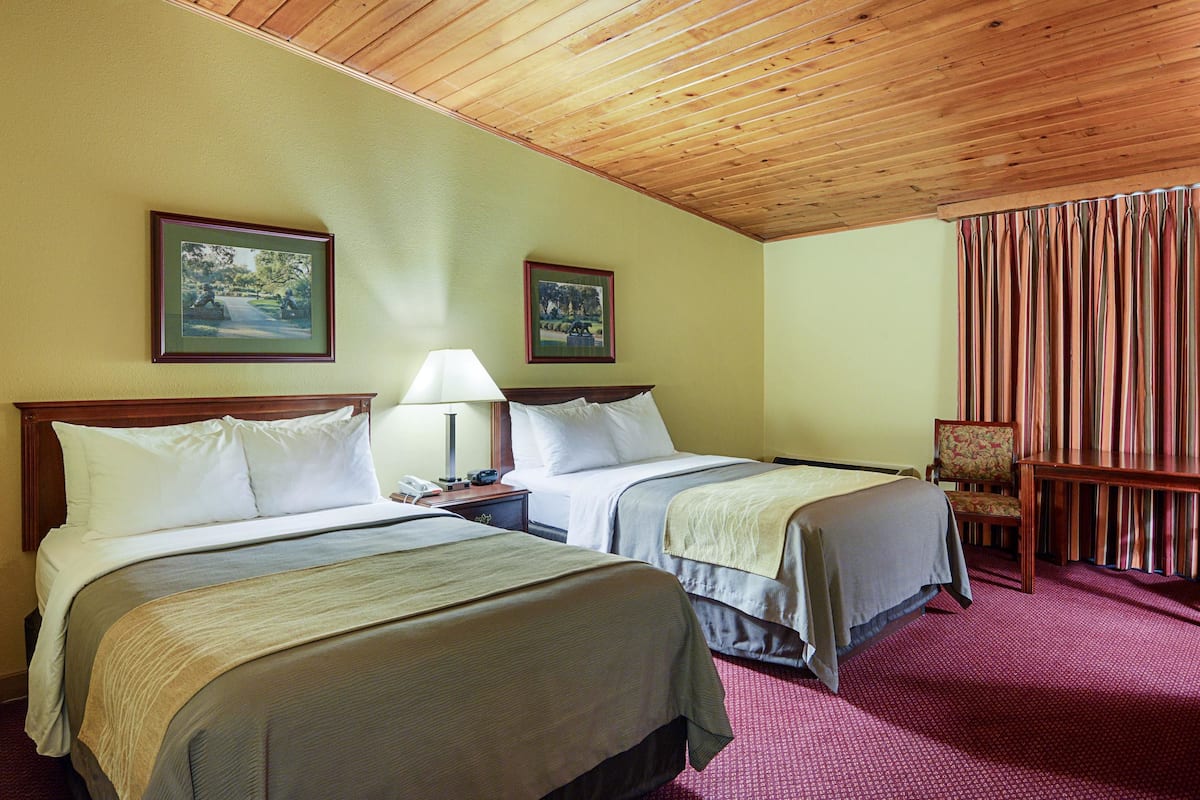 Standard Double Room, 2 Double Beds, Non Smoking | Blackout drapes, iron/ironing board, free cribs/infant beds