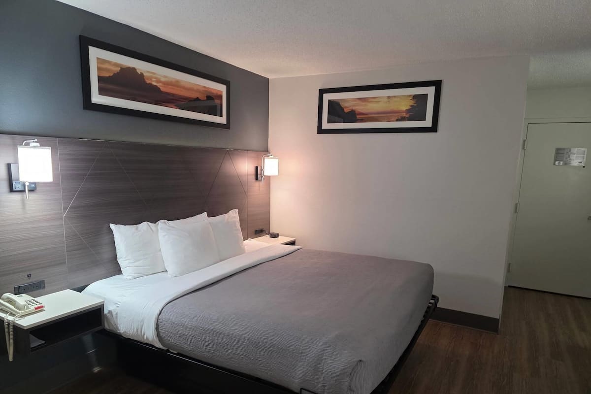 A hotel room with a bed, bedside table, lamp, and two framed pictures on the wall.
