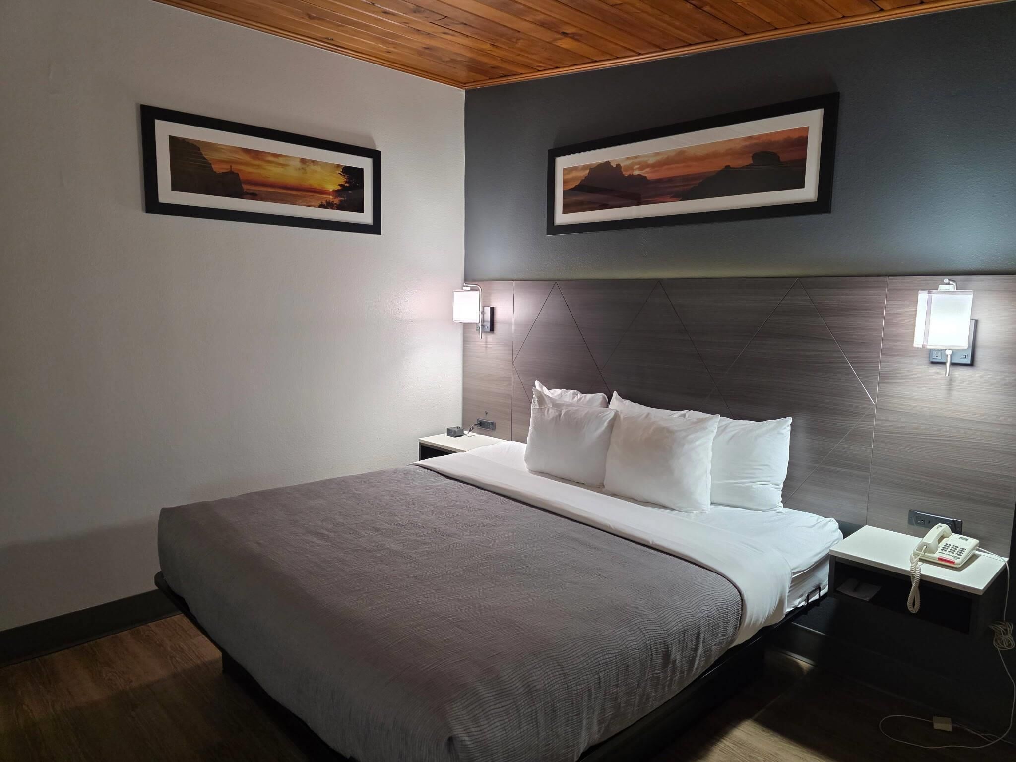 Cortinas blackout, tabla de planchar con plancha y cunas gratuitas 