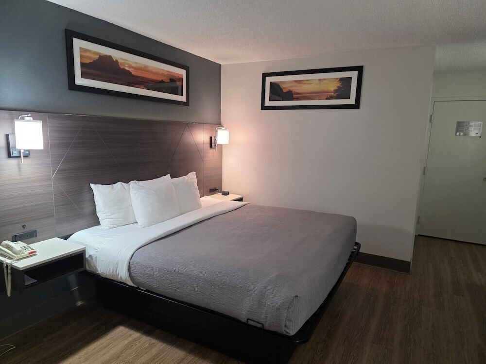 Cortinas opacas, tabla de planchar con plancha, cunas gratuitas