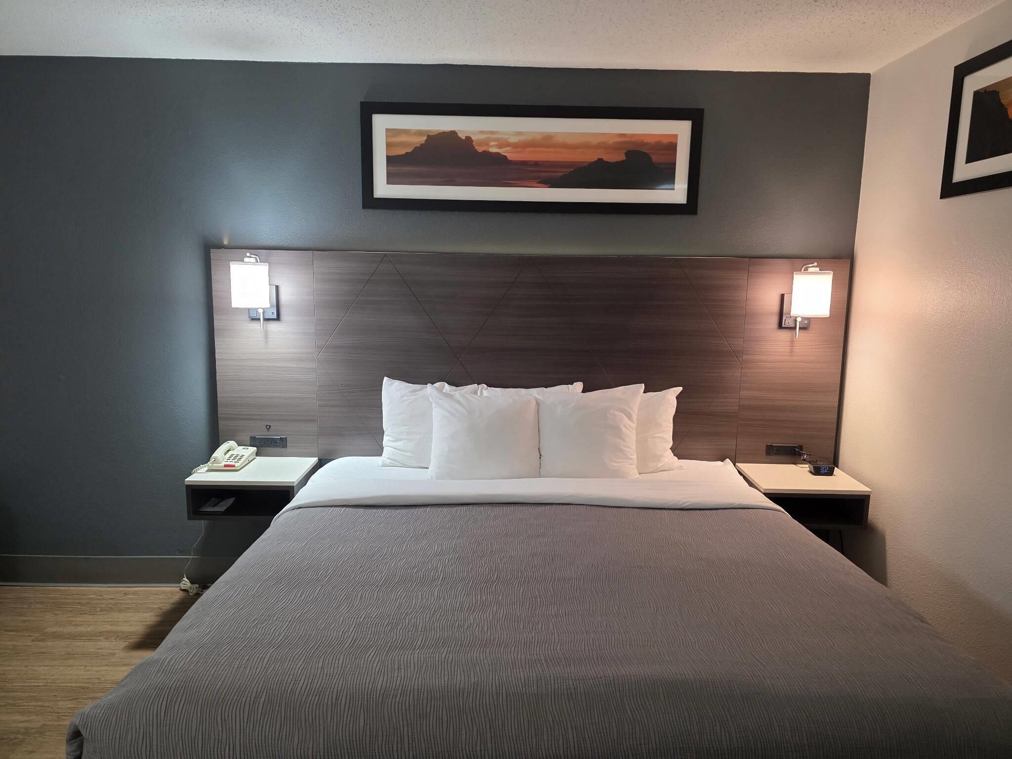 Habitación estándar, 1 cama King size, para no fumadores | Cortinas blackout, tabla de planchar con plancha y cunas gratuitas 