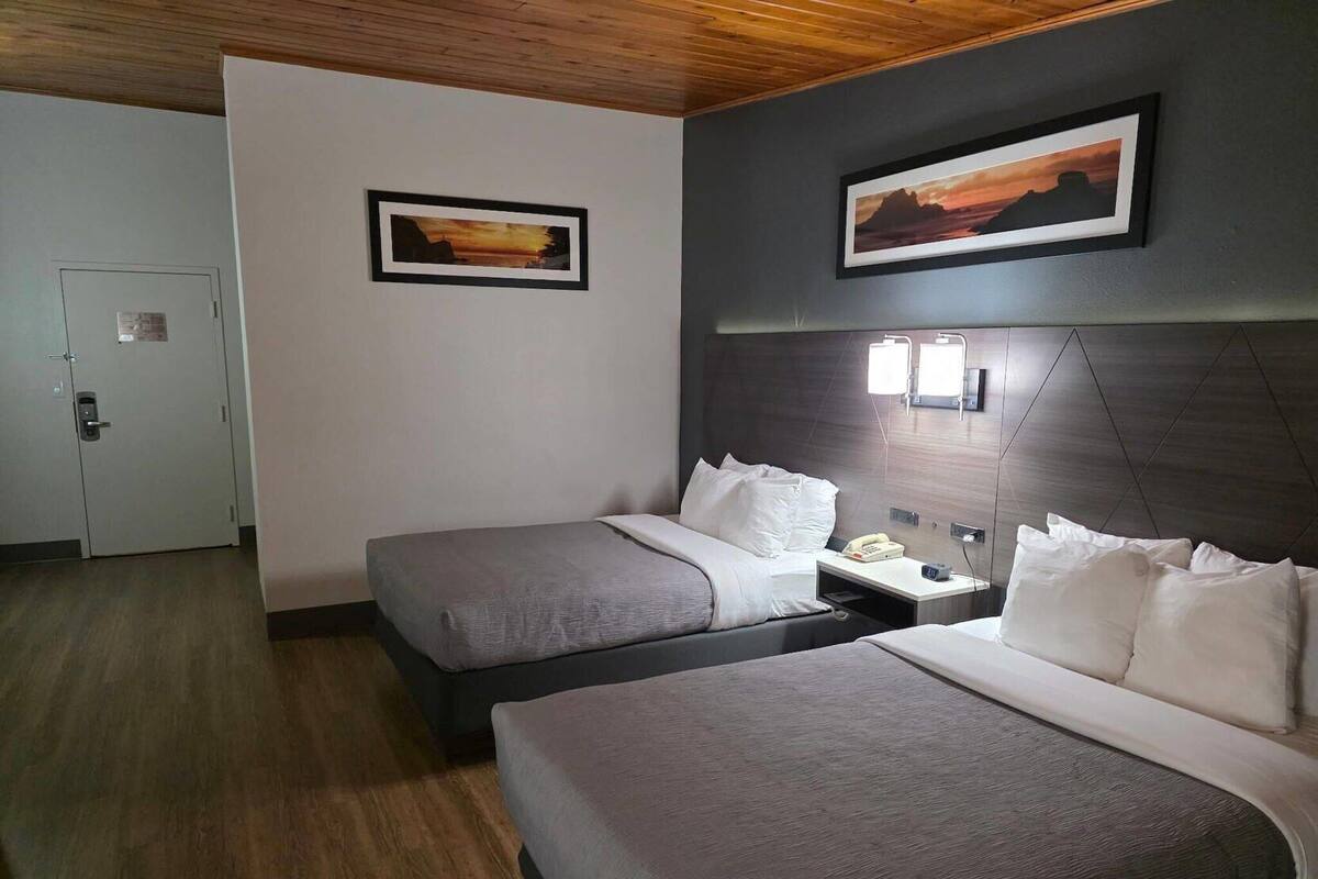 Cortinas blackout, tabla de planchar con plancha y cunas gratuitas 