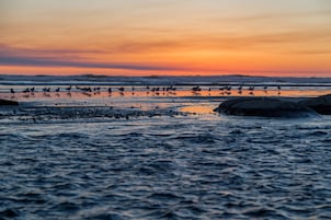 Vista desde la propiedad