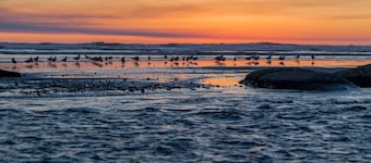 Kalaloch Lodge