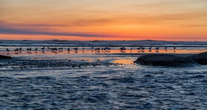 Kalaloch Lodge