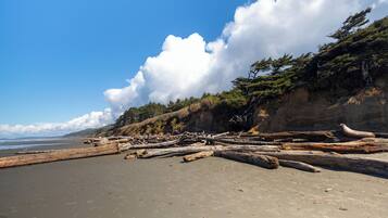 A sandy beach with driftwood and a cliff with trees.