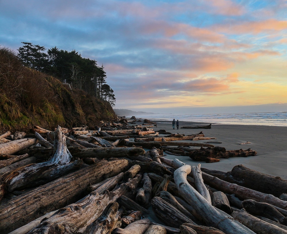 Kalaloch Lodge at Olympic National Park by null