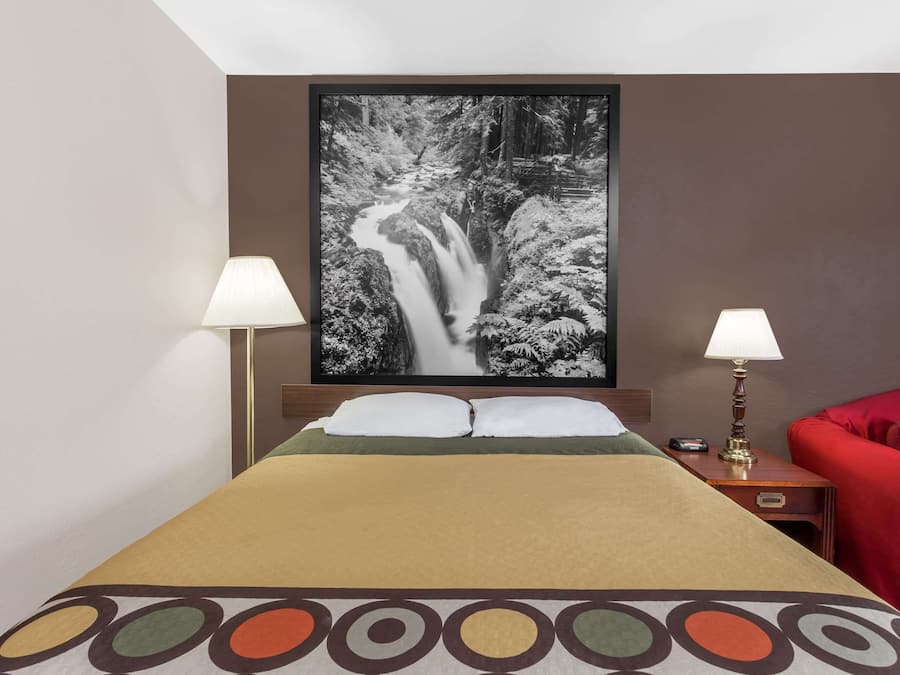 Room, 1 Queen Bed, Accessible, Non Smoking (Mobility,Tub w/Grab Bars,Pet-Friendly) | Desk, laptop workspace, blackout drapes, cribs/infant beds