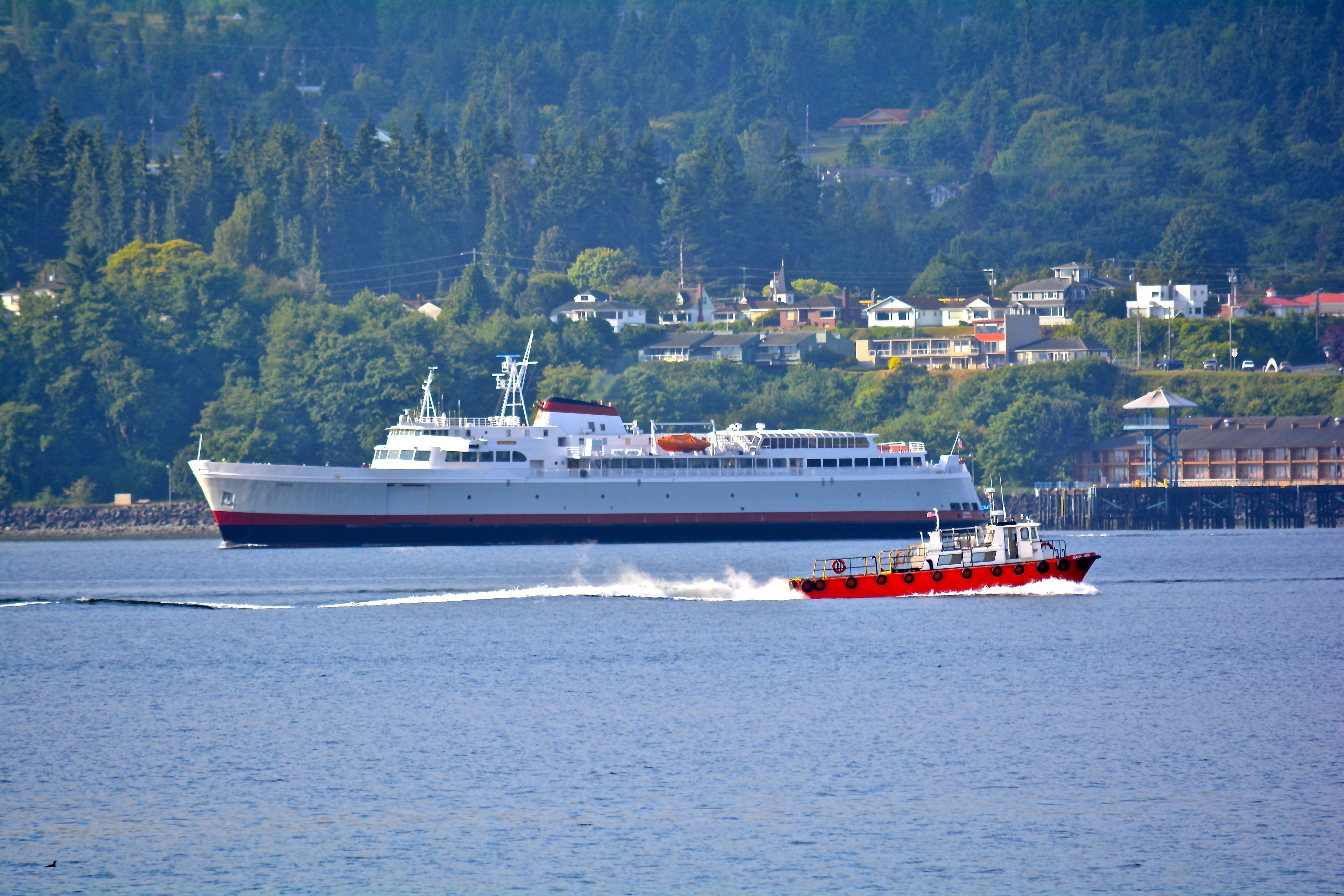 Foto - Super 8 by Wyndham Port Angeles at Olympic National Park